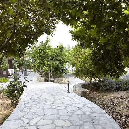Apartment Avra Private Lassi (Kefalonia)