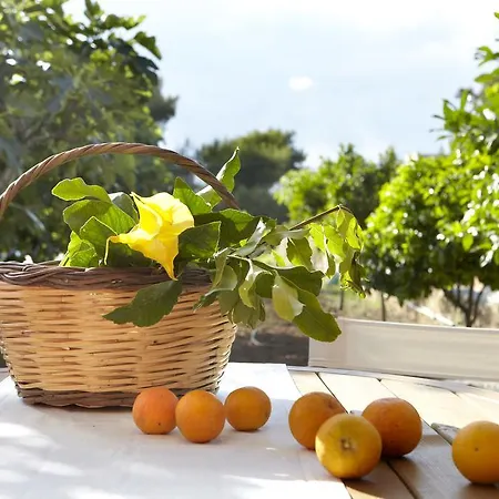 Avra Private * Lassi (Kefalonia)