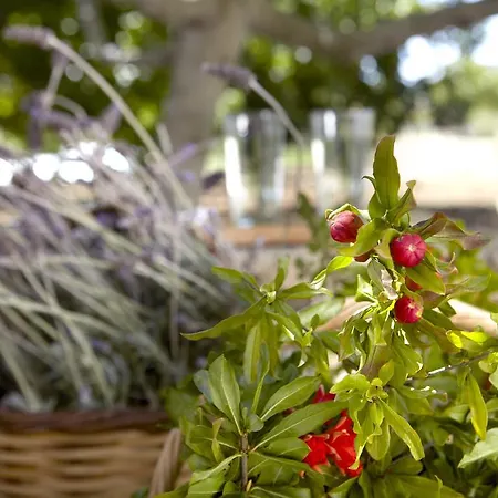 Appartamento Avra Private Lassi (Kefalonia)
