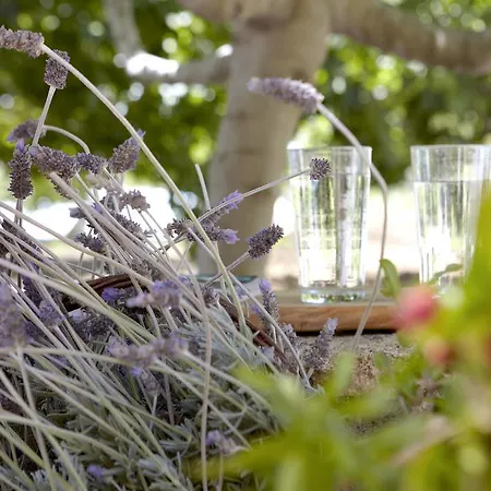 Avra Private * Lassi (Kefalonia)